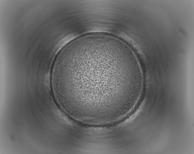 X0000112061121200908111406