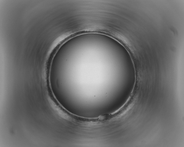 X0000112061122200908111406