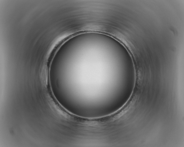 X0000112061123200908111406
