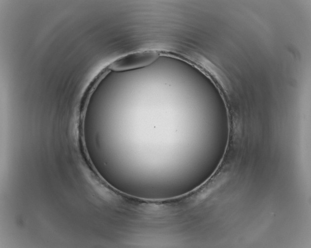 X0000112061124200908111406
