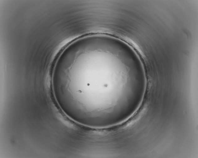 X0000112061125200908111406