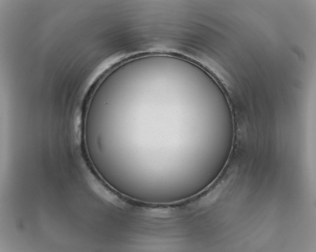 X0000112061126200908111406