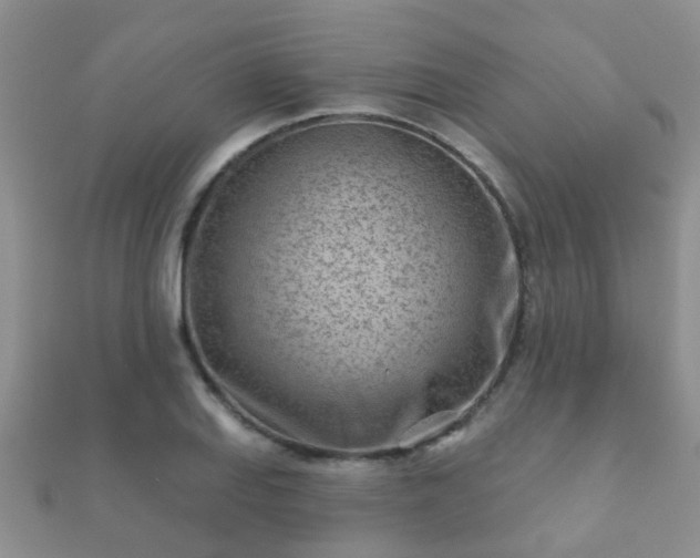 X0000112061127200908111406