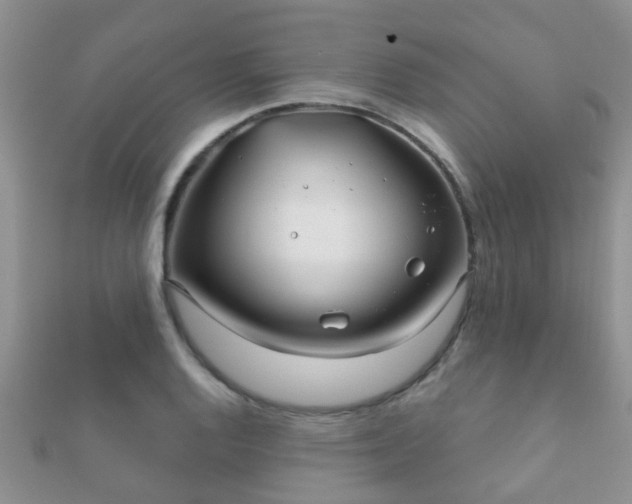 X0000112061128200908111406