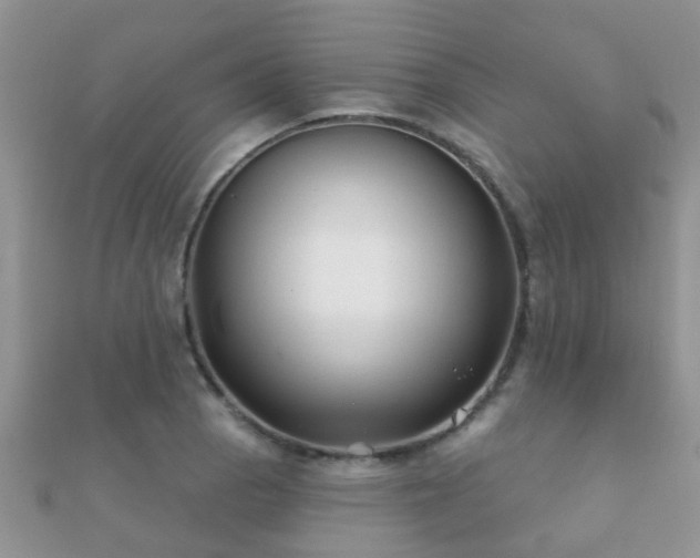 X0000112061129200908111406