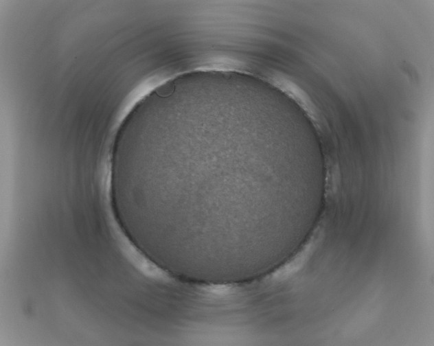 X0000112061130200908111406