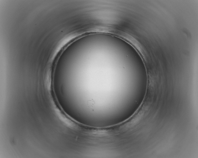 X0000112061131200908111406