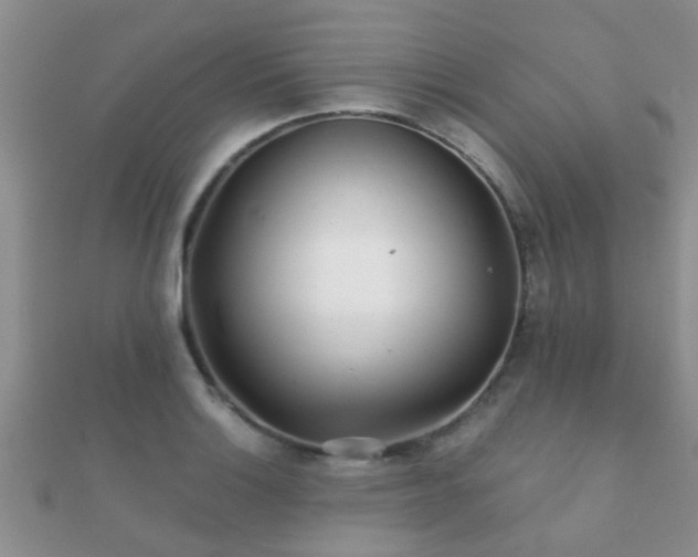 X0000112061132200908111406