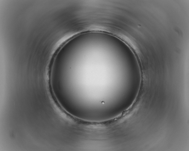 X0000112061133200908111406