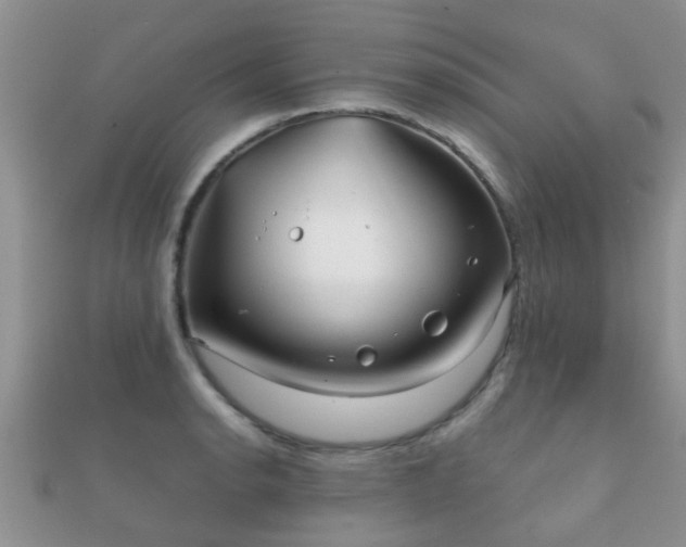 X0000112061134200908111406