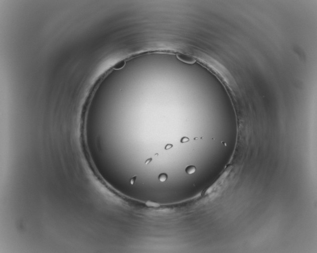 X0000112061135200908111406