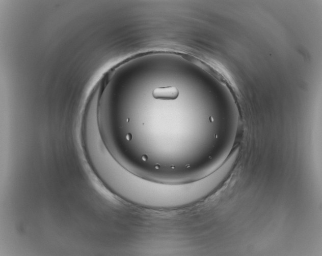 X0000112061136200908111406