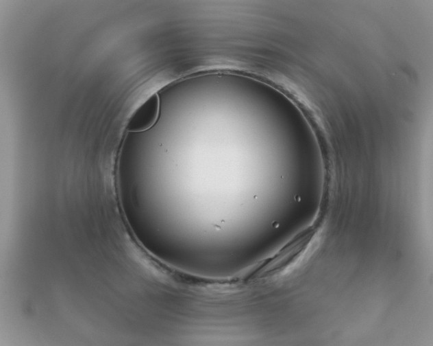 X0000112061137200908111406