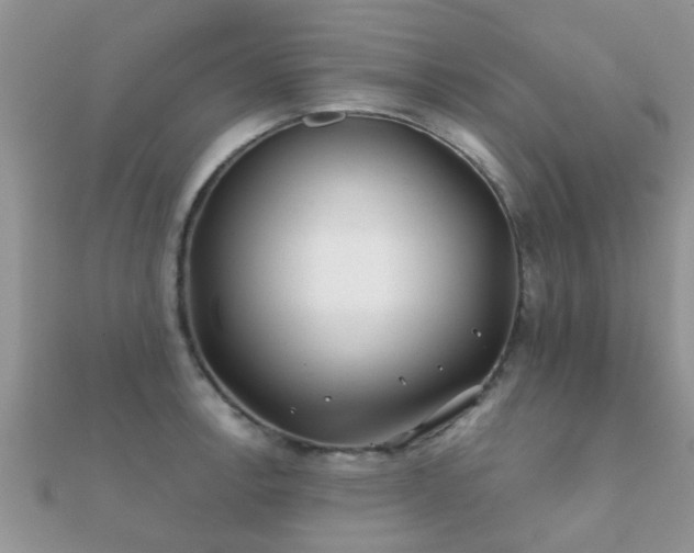 X0000112061138200908111406