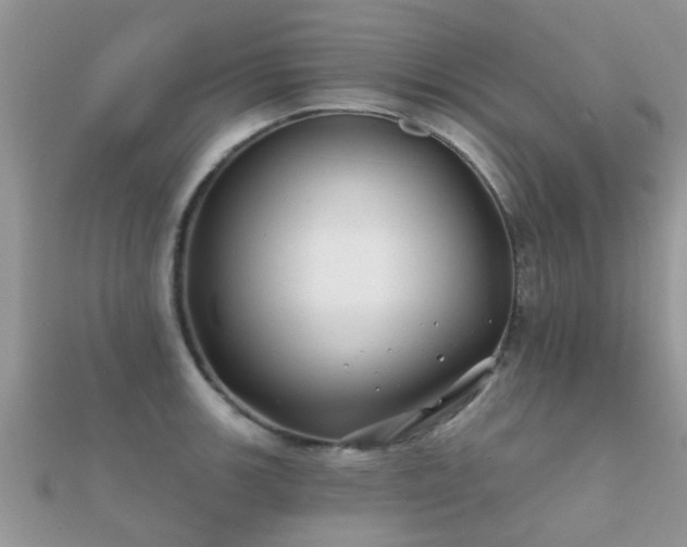 X0000112061139200908111406