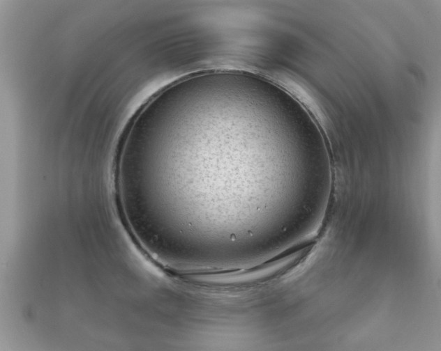 X0000112061141200908111406