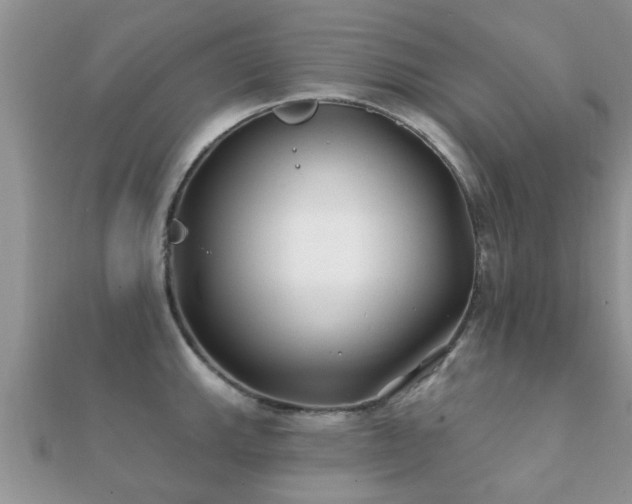 X0000112061143200908111406