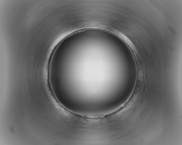 X0000112061144200908111406
