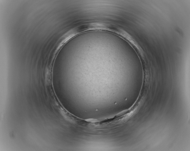 X0000112061145200908111406