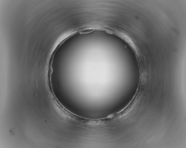 X0000112061146200908111406