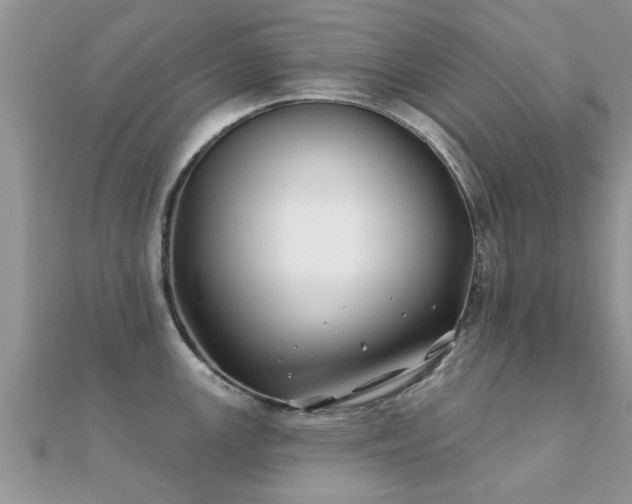 X0000112061147200908111407