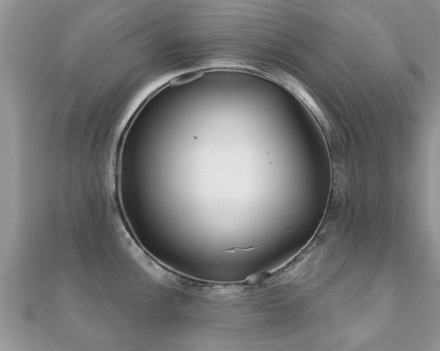 X0000112061148200908111407