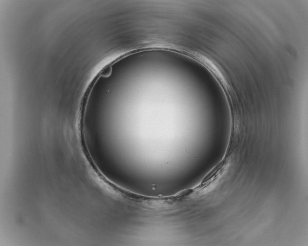 X0000112061149200908111407