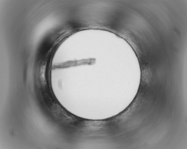 X0000112061150200908111407