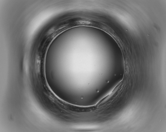X0000112061151200908111407