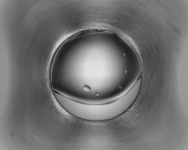 X0000112061152200908111407