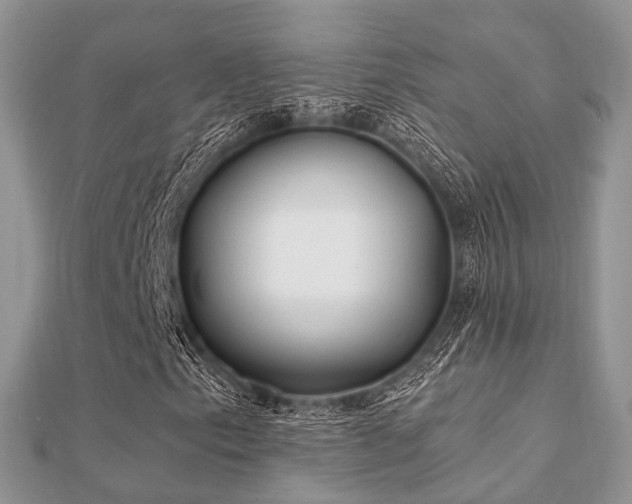 X0000112061153200908111406