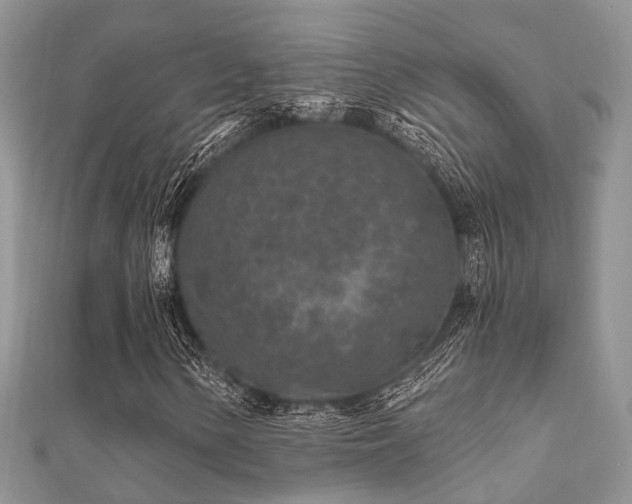 X0000112061154200908111406
