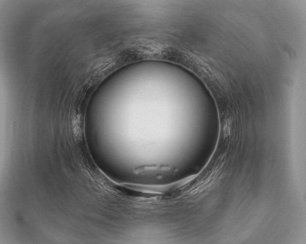 X0000112061156200908111406
