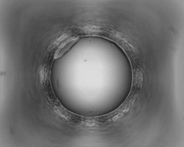 X0000112061157200908111406