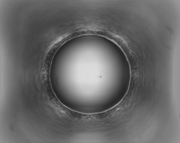 X0000112061159200908111406