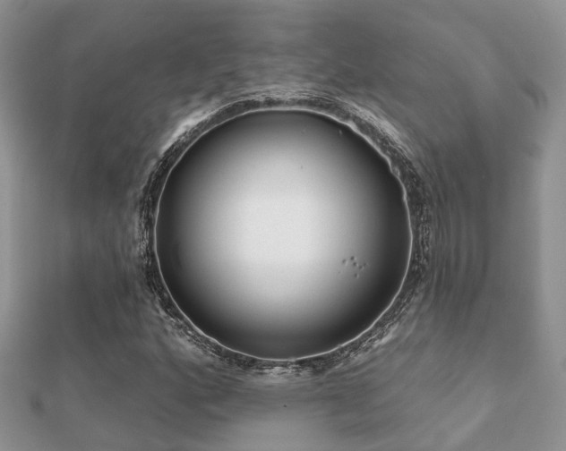 X0000112061160200908111406