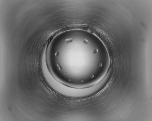 X0000112061161200908111406