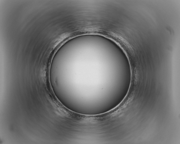 X0000112061162200908111406