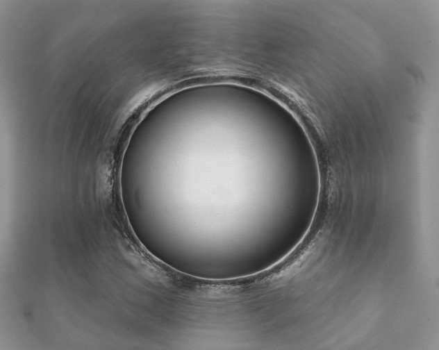 X0000112061163200908111406
