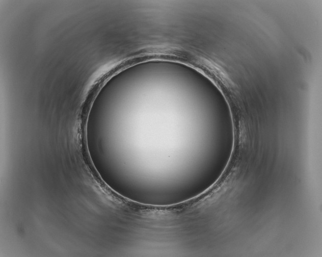 X0000112061164200908111406