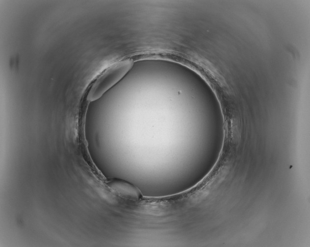 X0000112061165200908111406