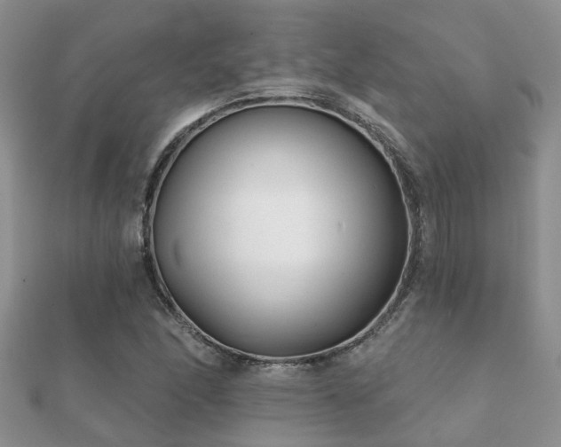 X0000112061166200908111406