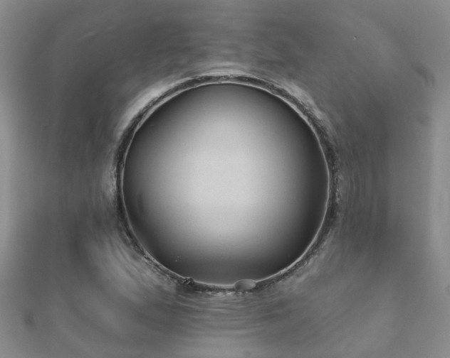 X0000112061167200908111406