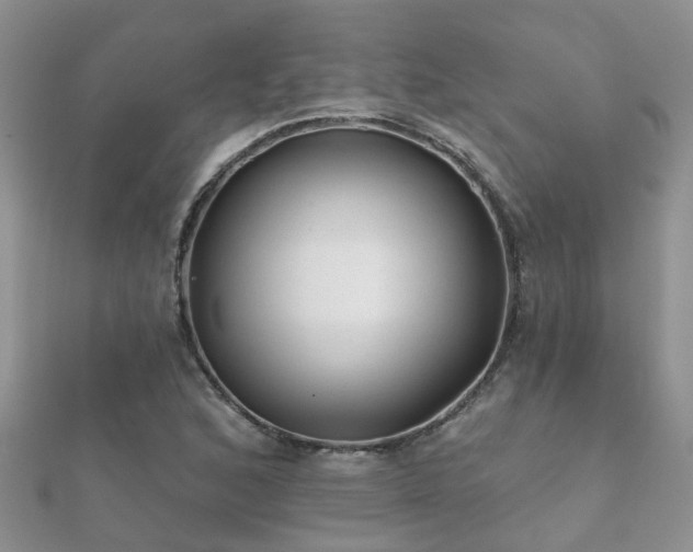 X0000112061168200908111406