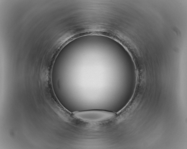 X0000112061169200908111406