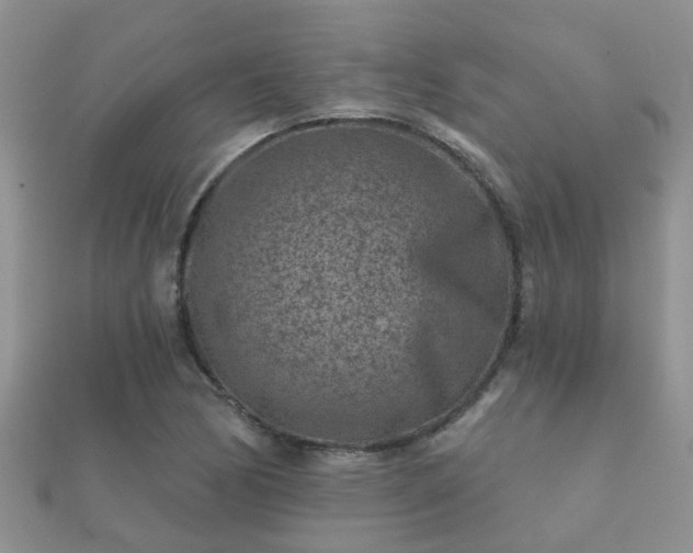 X0000112061170200908111406