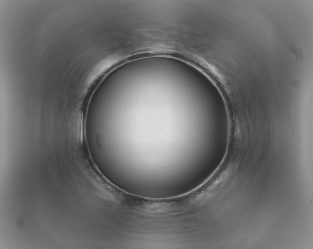 X0000112061171200908111406
