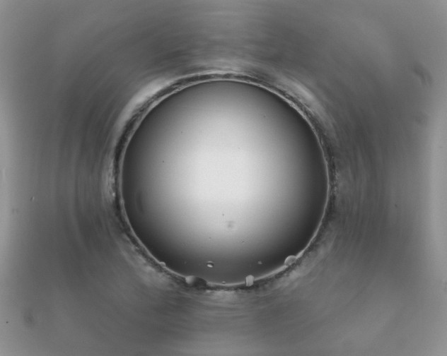 X0000112061172200908111406