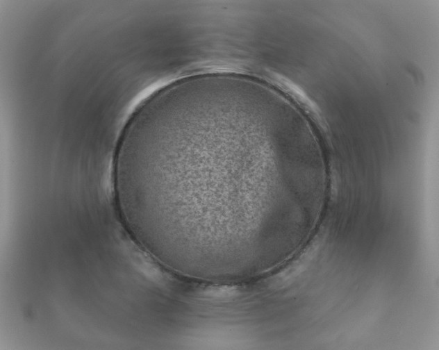 X0000112061174200908111406