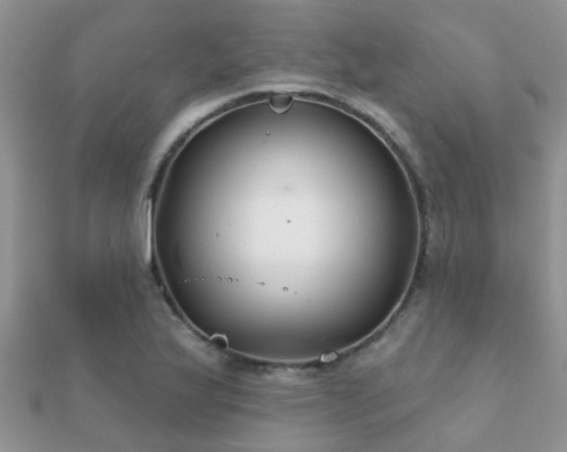 X0000112061175200908111406